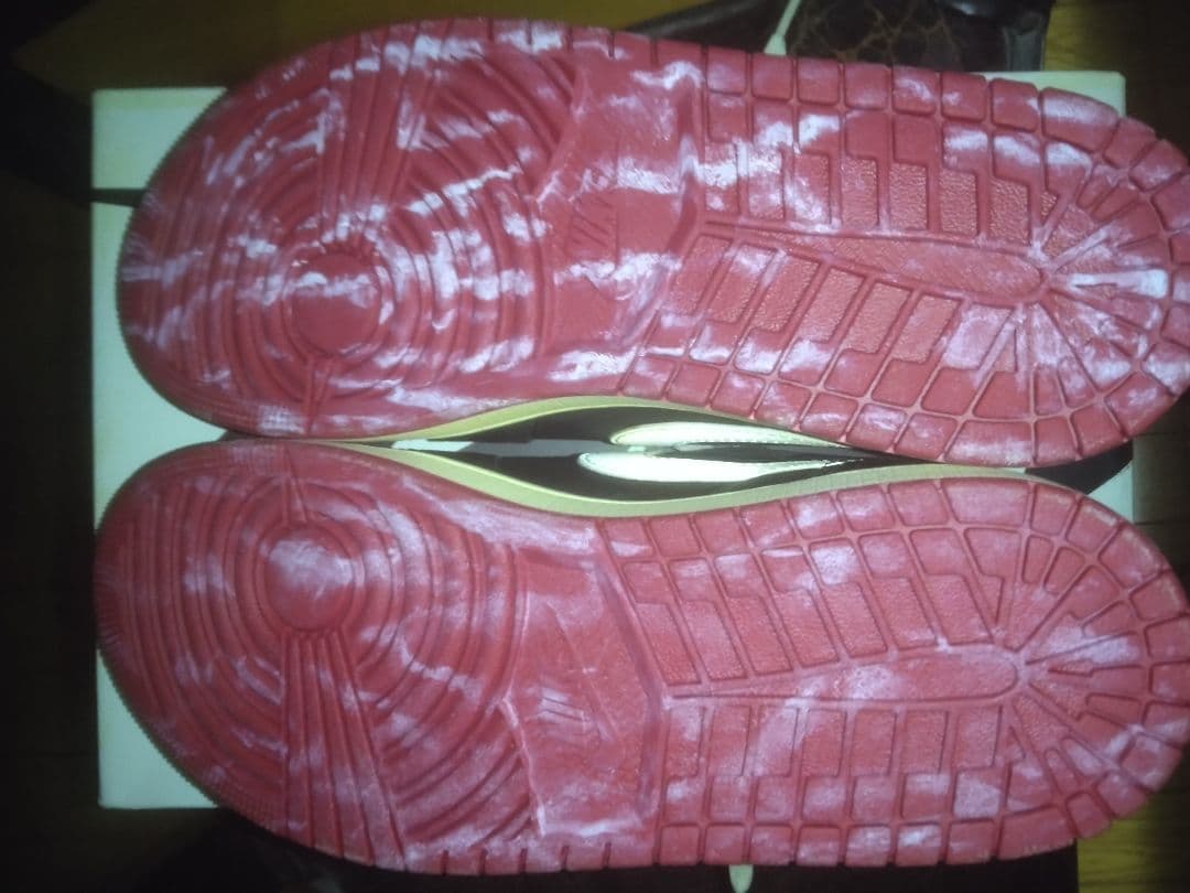 Nigel Sylvester Nike Air Jordan 1 27.5㎝