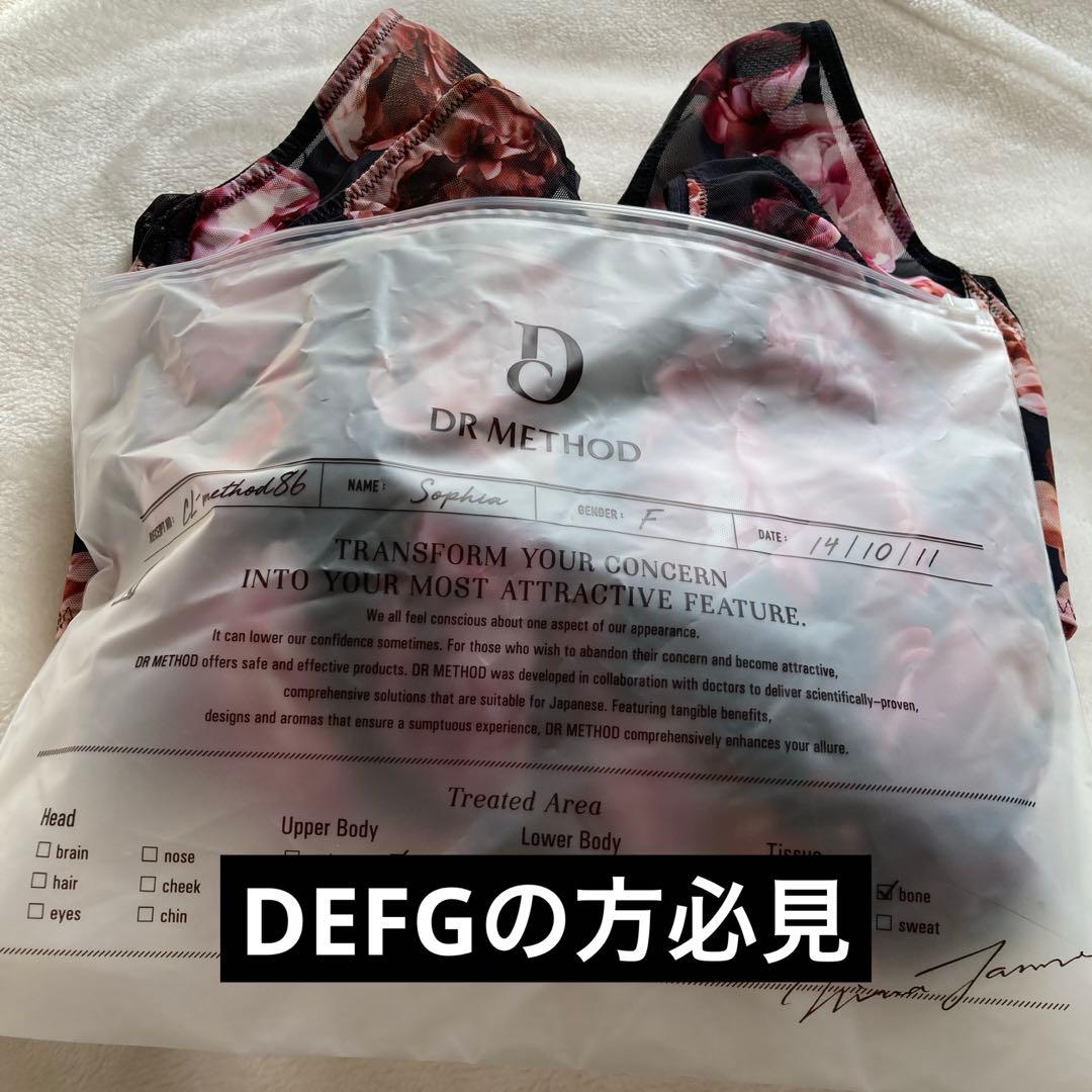 最終値下DR METHOD ノンジーSophie 補正下着 2点セット