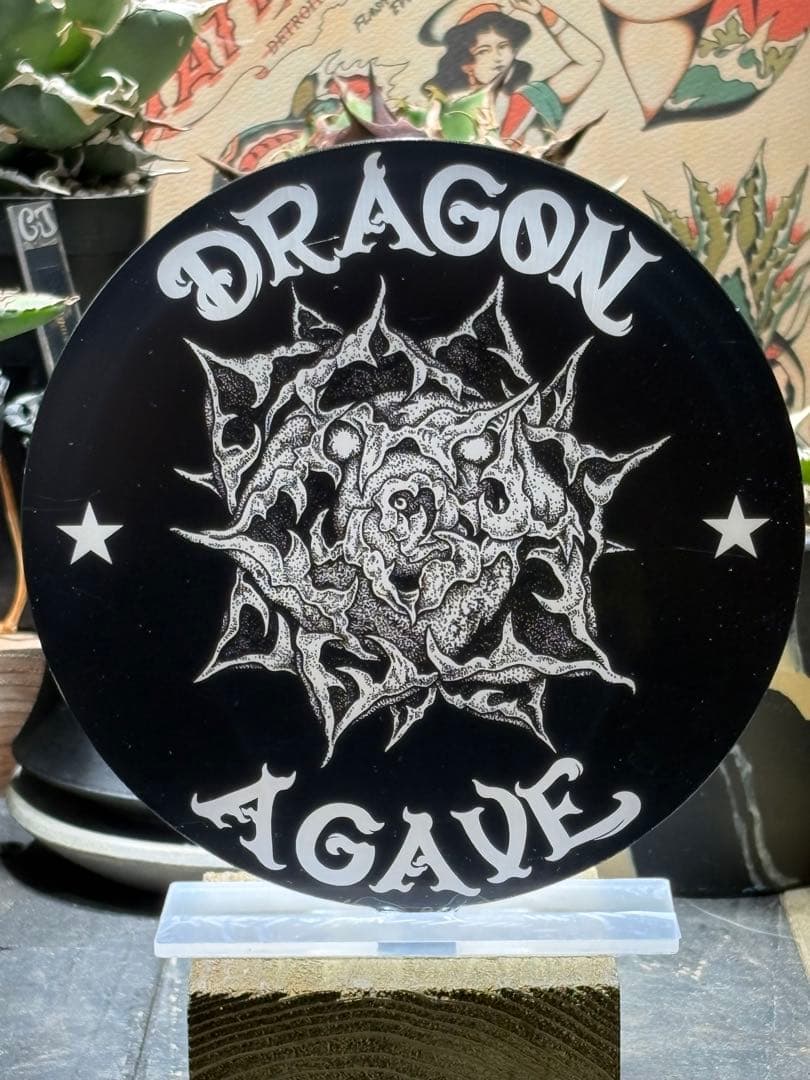 アガベチタノタ　宙斯　ゼウス　DragonAgave アクリルスタンド付き