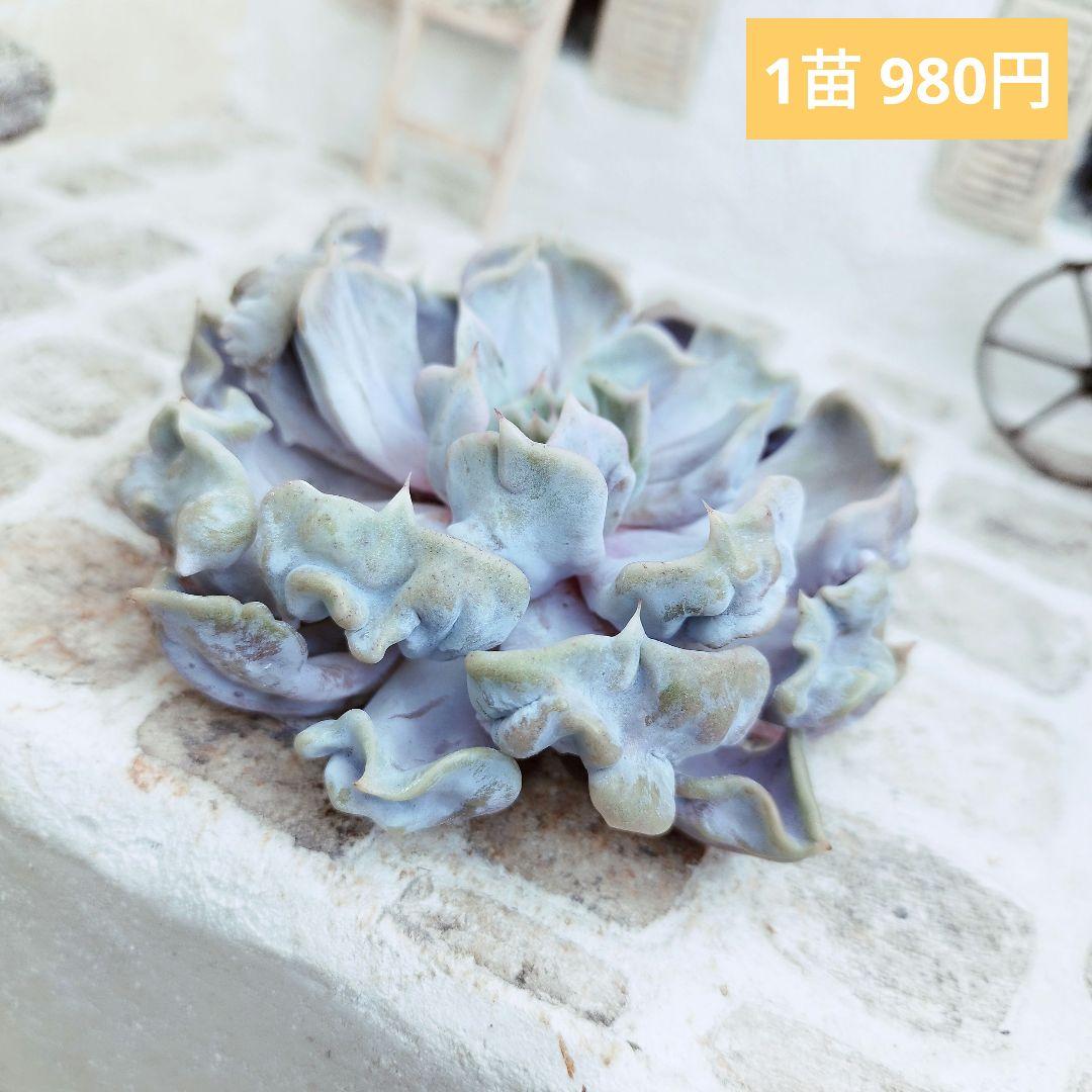 よっしー様 リクエスト 10点 まとめ商品