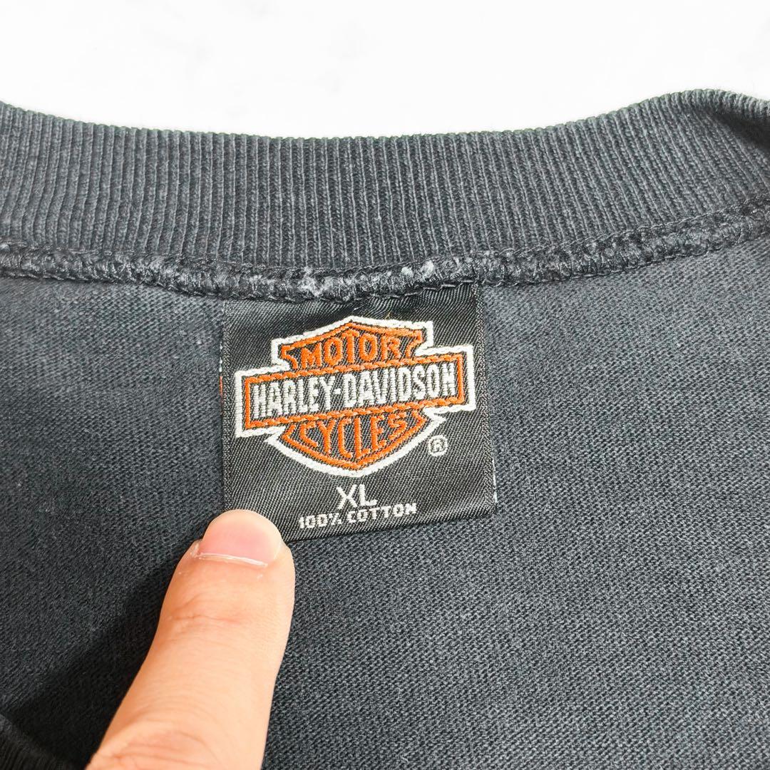 HARLEY DAVIDSON ハーレーロンT フレイムデザイン 古着