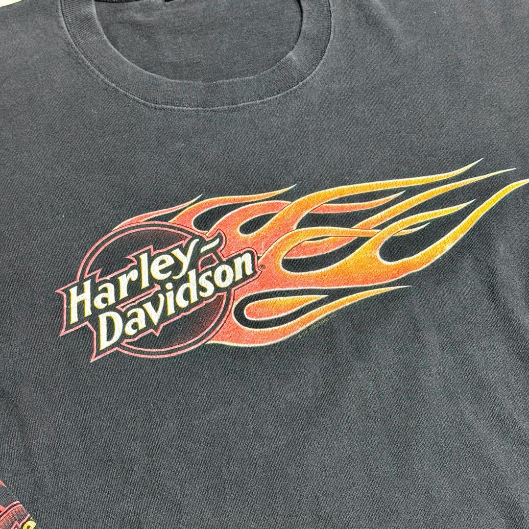 HARLEY DAVIDSON ハーレーロンT フレイムデザイン 古着