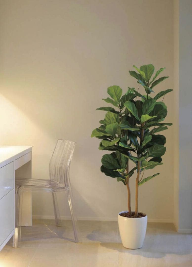 光触媒　人工観葉植物　ウォールグリーン　フェイクグリーン　カシワバゴム1.35m