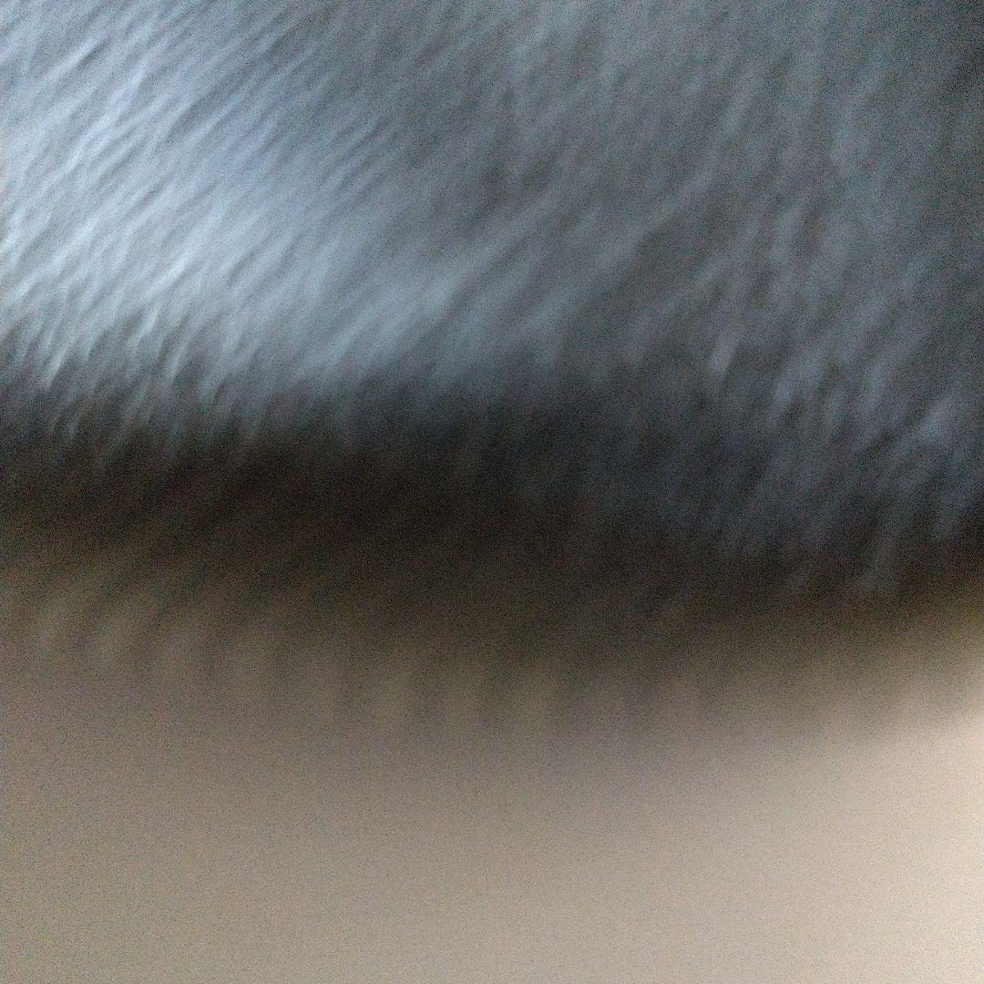 ブルガリ長財布大きめです