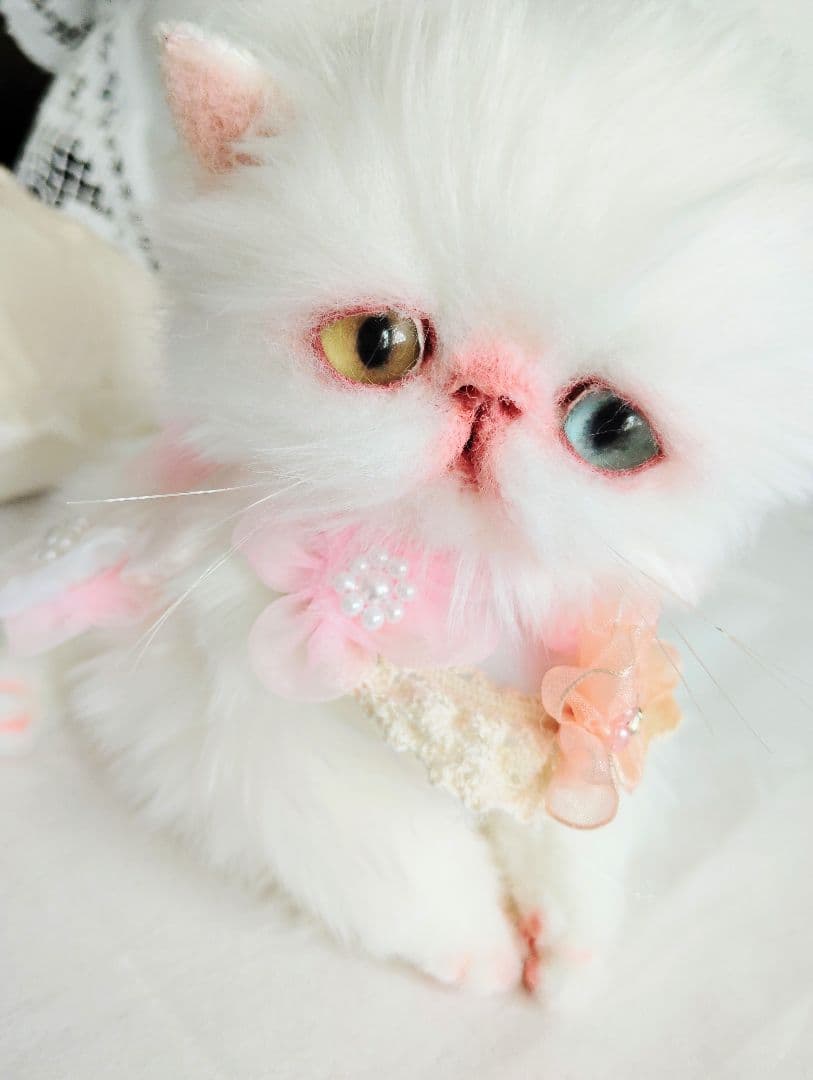 短足ぽってり♡オッドアイ子猫ちゃん♡アートドール♡ぬいぐるみ♡