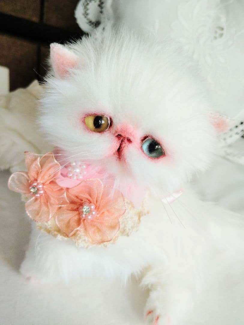 短足ぽってり♡オッドアイ子猫ちゃん♡アートドール♡ぬいぐるみ♡