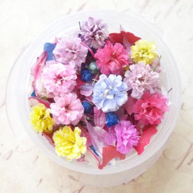 引越し処分様◆【ドライフラワー】花びらつぼみ mix（725 レジン パーツ）
