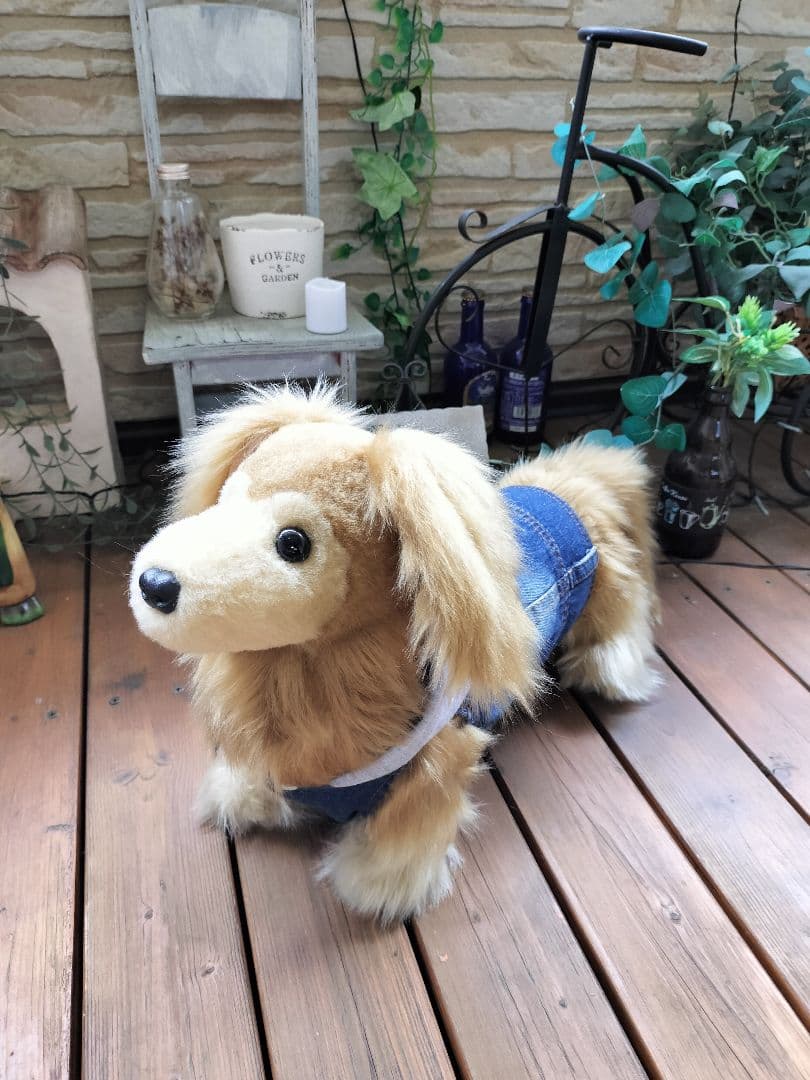 ゆかべぇ　ダックス　レッド