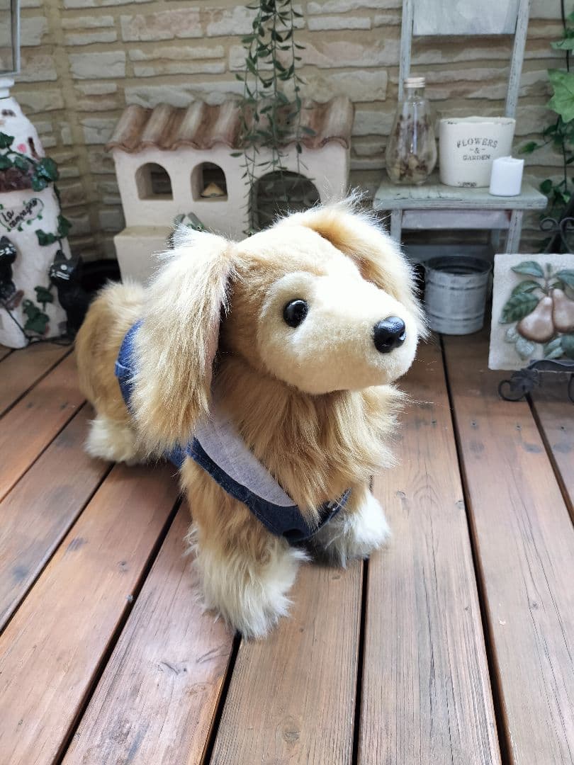 ゆかべぇ　ダックス　レッド