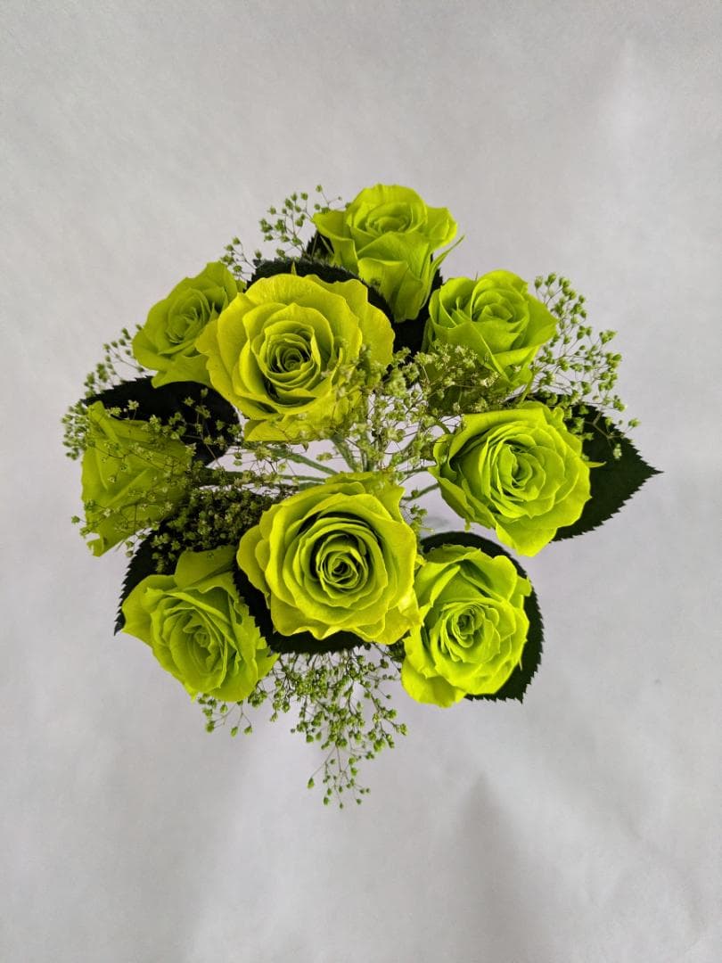 プリザーブドフラワー緑の薔薇9輪とかすみ草の花束（花束ラッピング）