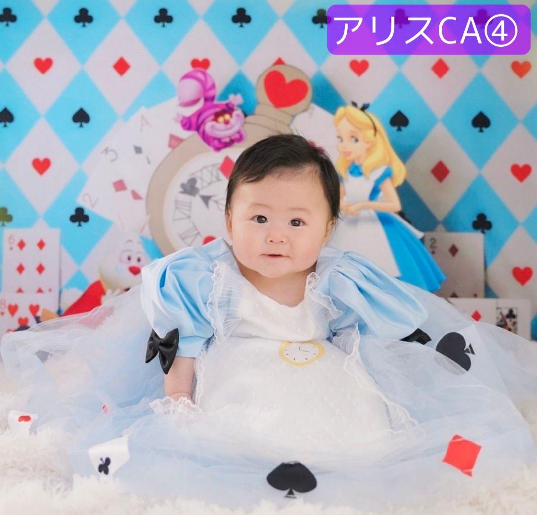 背景布+秋色チョーカー　パンパスグラス　お月見　十五夜　ペットサロン撮影用