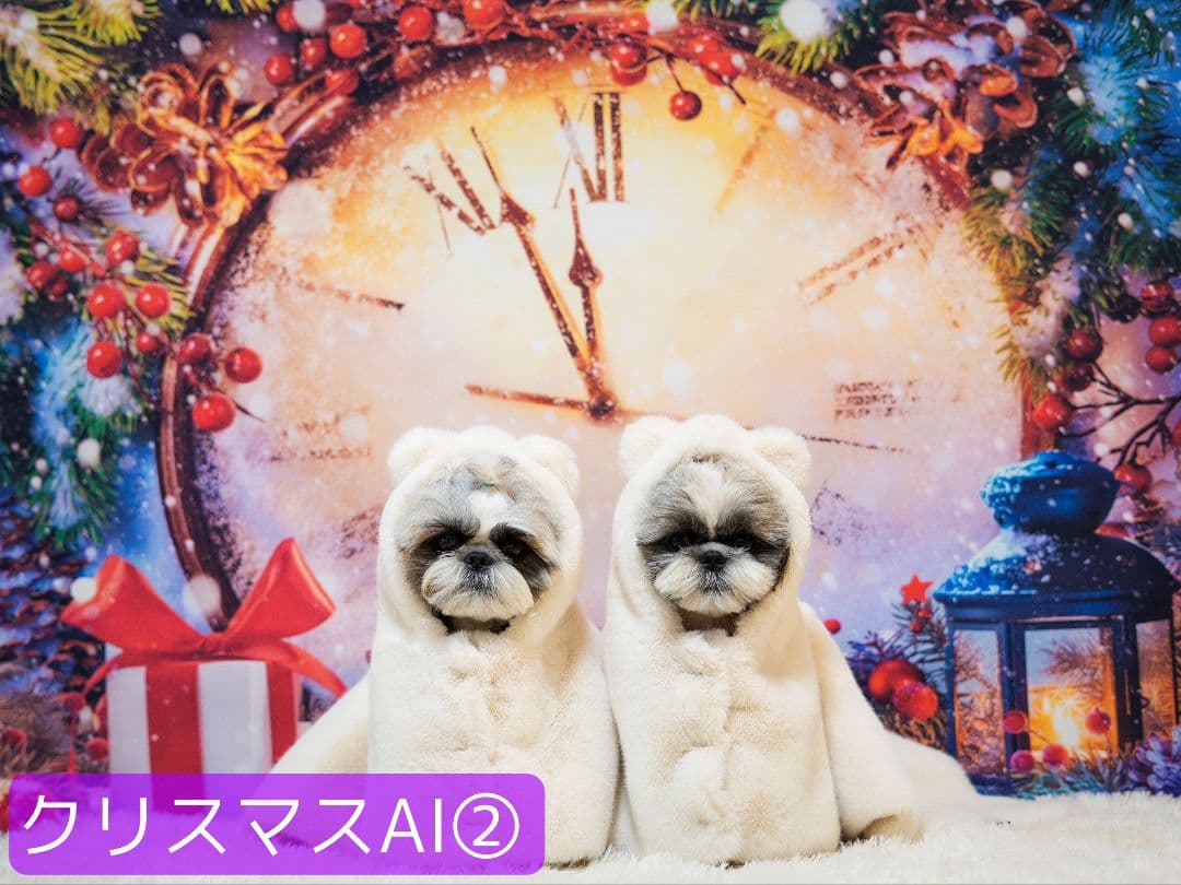 背景布+秋色チョーカー　パンパスグラス　お月見　十五夜　ペットサロン撮影用