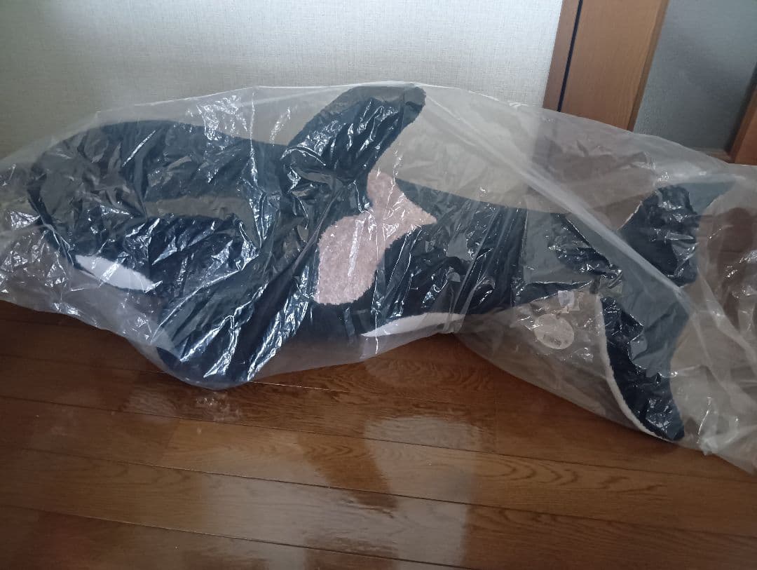 鴨川シーワールド　シャチのぬいぐるみ 100cm