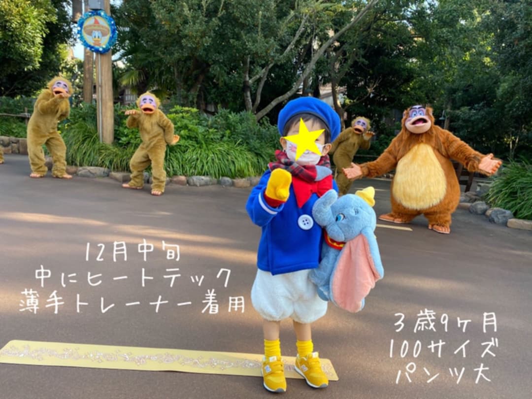 コメント専用