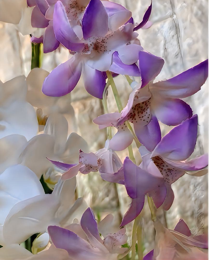 光触媒　人工観葉植物　ウォールグリーン　フェイクグリーン　胡蝶蘭とオーキッド@a