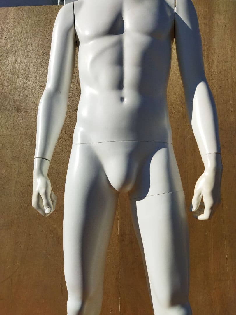 miree　男性用マネキン トルソー 約50×43×H170cm　人形
