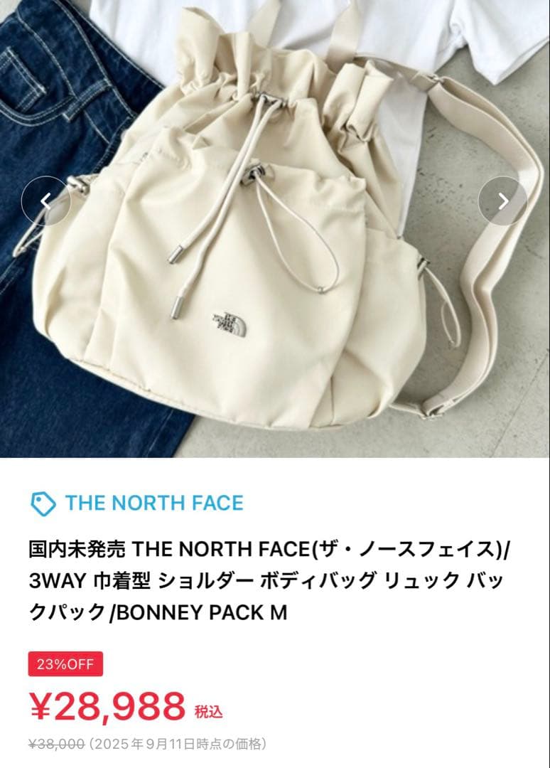 THE NORTH FACE BONNEY PACK ノースフェイスボニーパック
