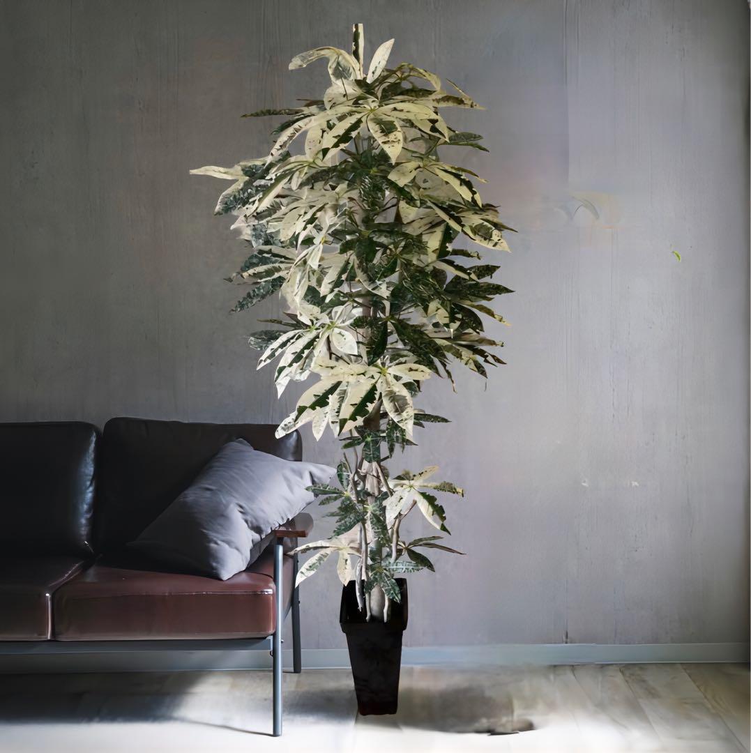 光触媒　人工観葉植物　ウォールグリーン　フェイクグリーン　斑入りパキラ175