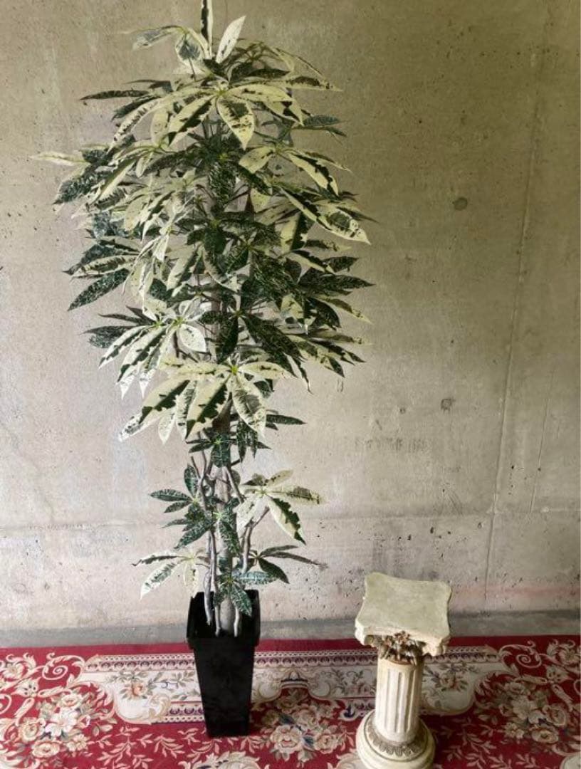 光触媒　人工観葉植物　ウォールグリーン　フェイクグリーン　斑入りパキラ175