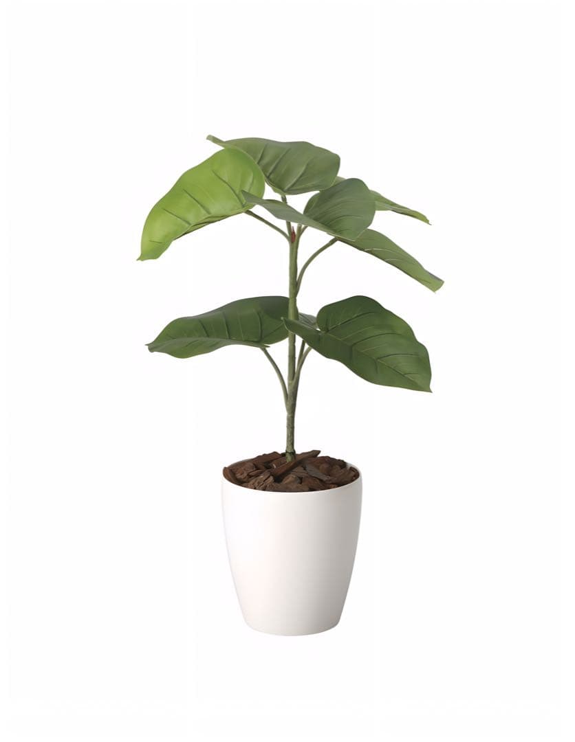 光触媒　人工観葉植物　フェイクグリーン　フレッシュウンベラータ60