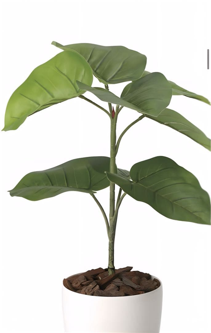 光触媒　人工観葉植物　フェイクグリーン　フレッシュウンベラータ60