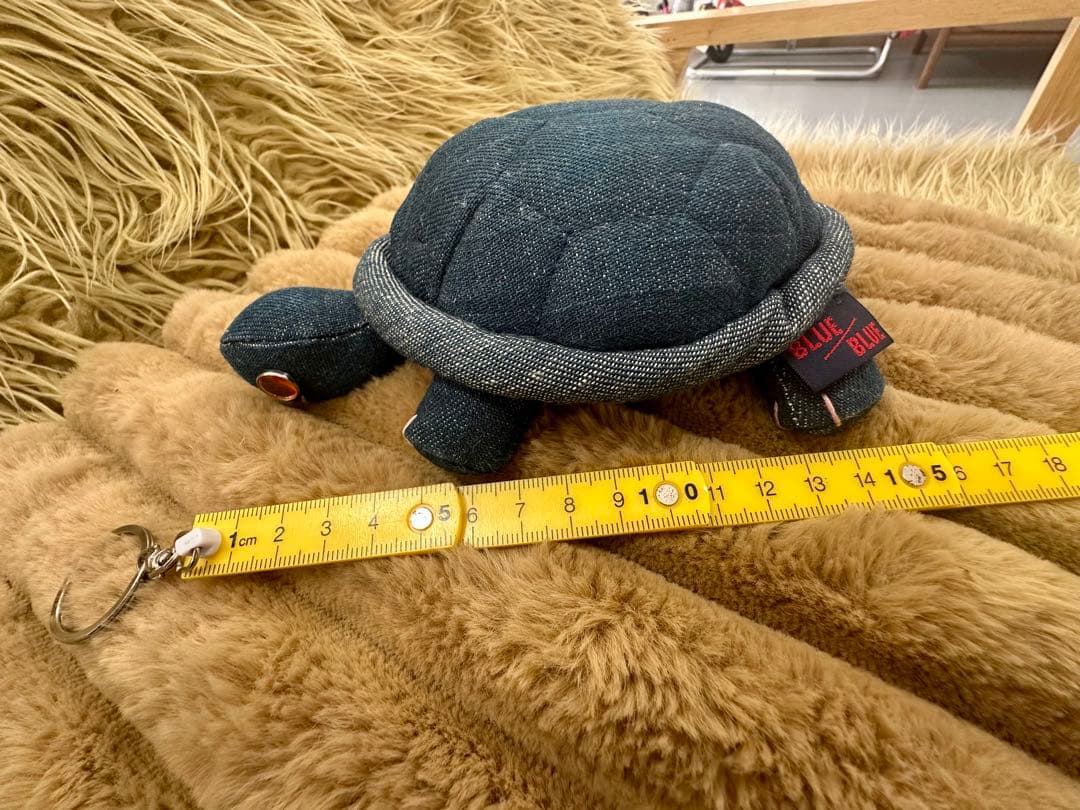 ハリウッドランチマーケット　カメ