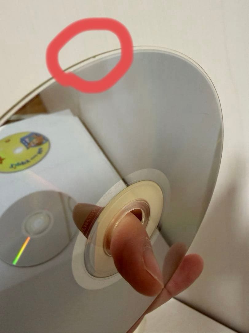 【DWE】Zippy and Me DVD CD フロギー＆バニー