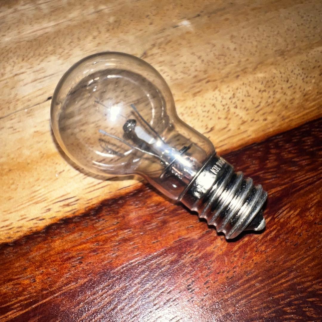 カスピシェル ウィンドチャイム シェルチャイム 照明 インテリア