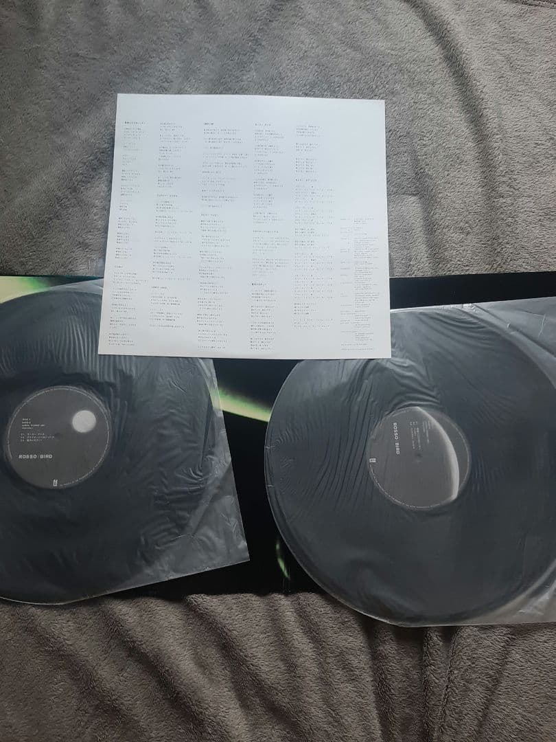 y*k様 希少品　ROSSO BIRD 2枚組　レコード 　チバユウスケ