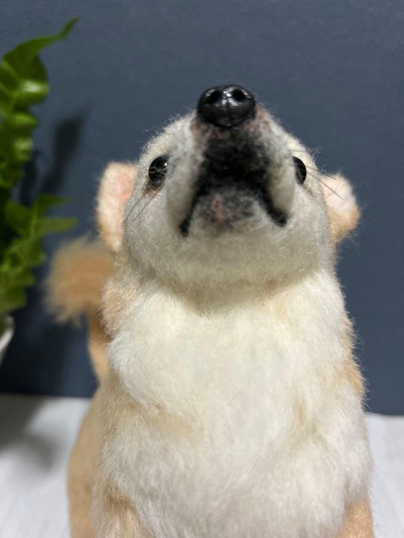 羊毛フェルト　チワワ　サマーカット