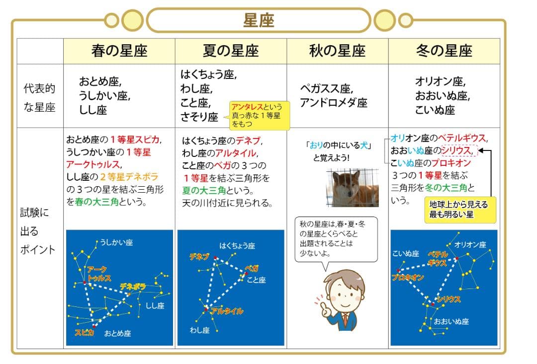 はなみずき商品