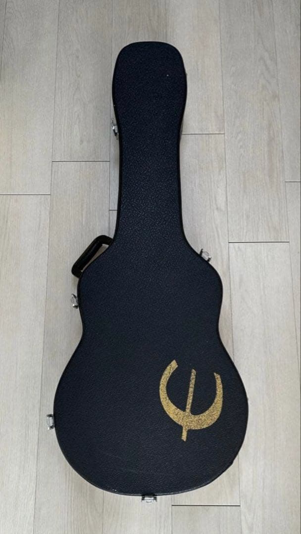 【‎一旦最終値下げなので買ってください】Epiphone WildKat
