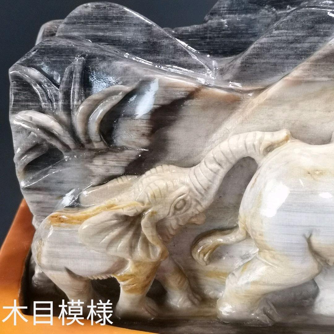 象　木化石　珪化木　ペトリファイド　天然石　処分