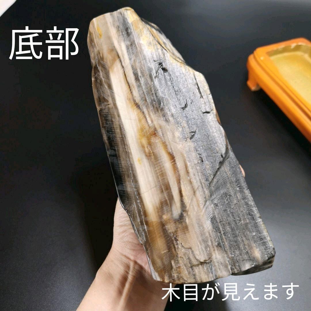 象　木化石　珪化木　ペトリファイド　天然石　処分