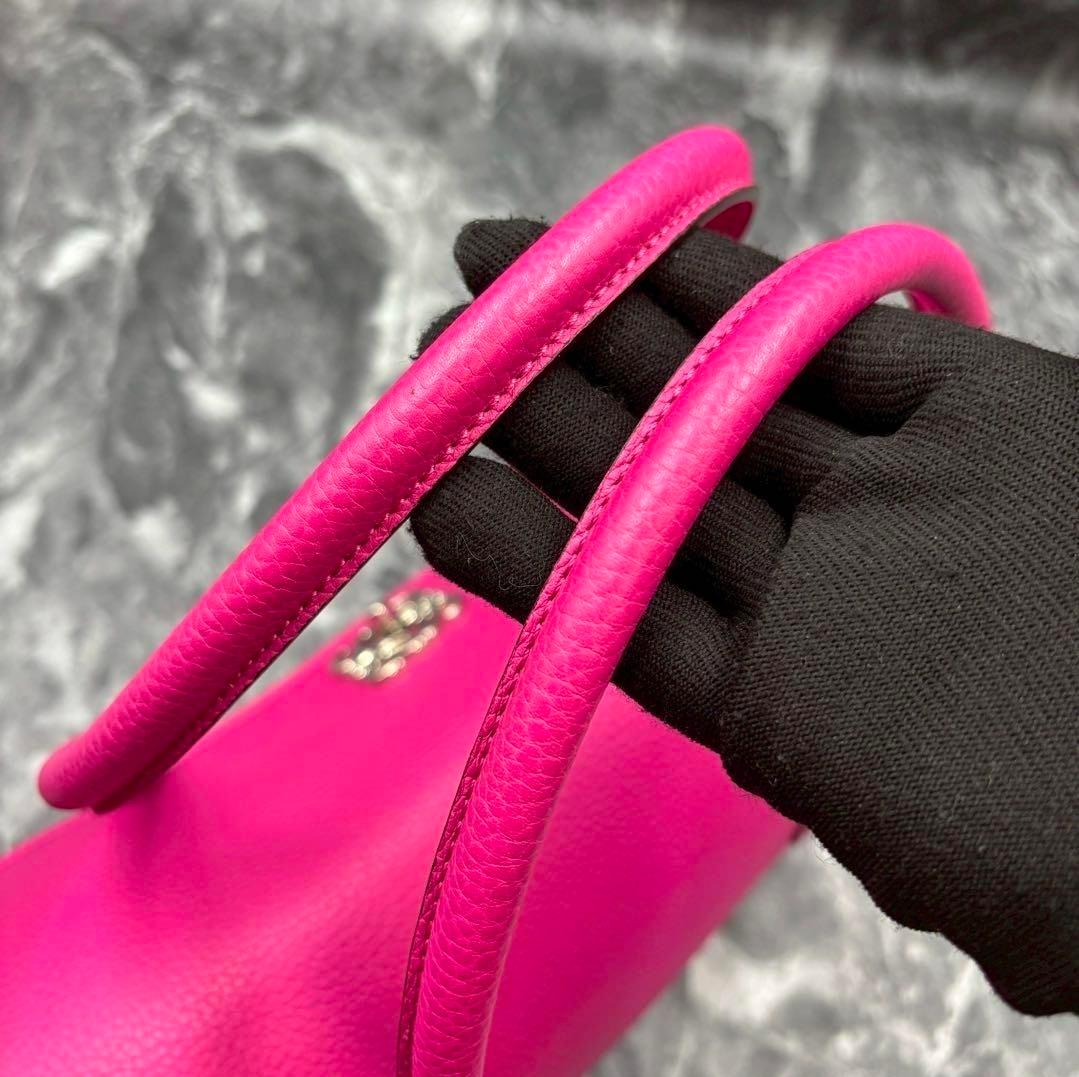 m*a様 美品✨ロエベ　アラモア36 トート