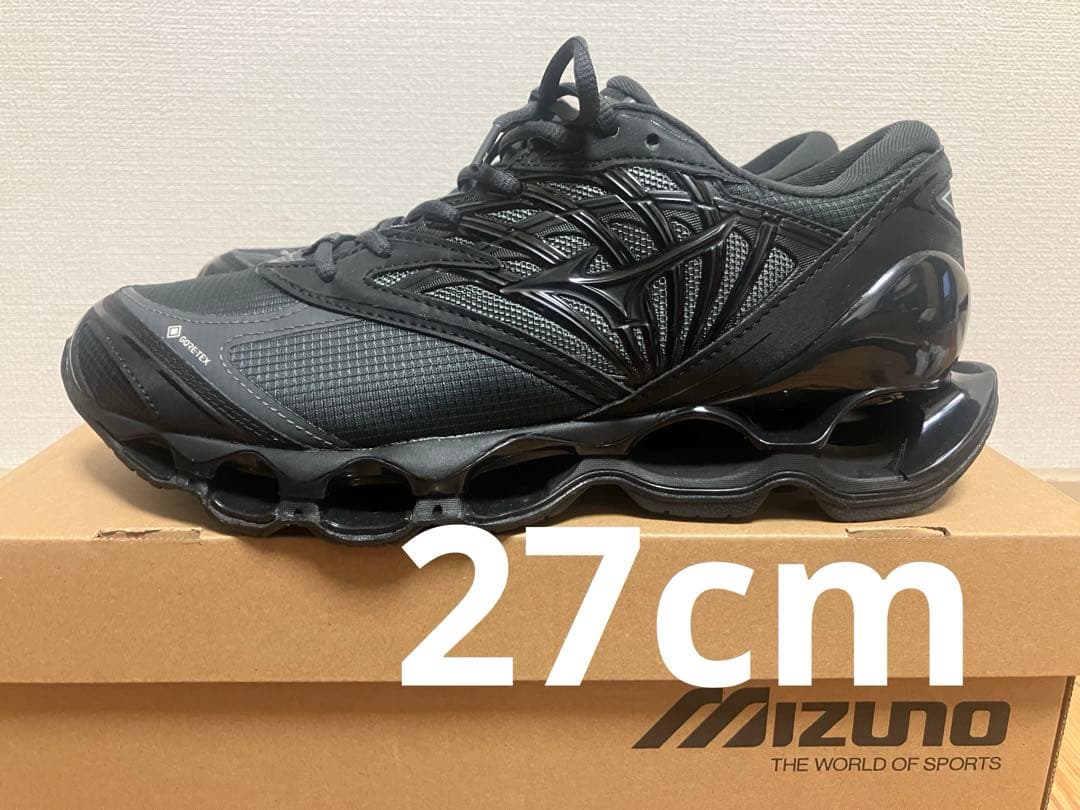 靴 MIZUNO WAVE PROPHECY LS GTX