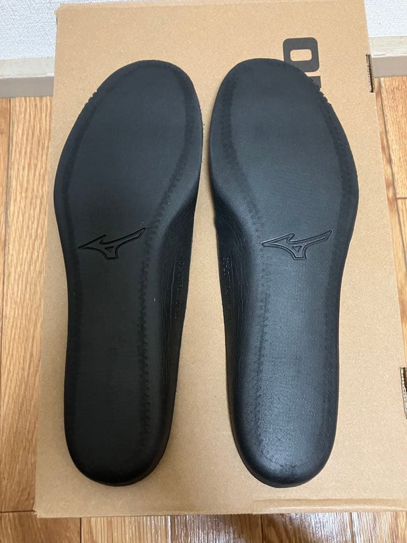 靴 MIZUNO WAVE PROPHECY LS GTX