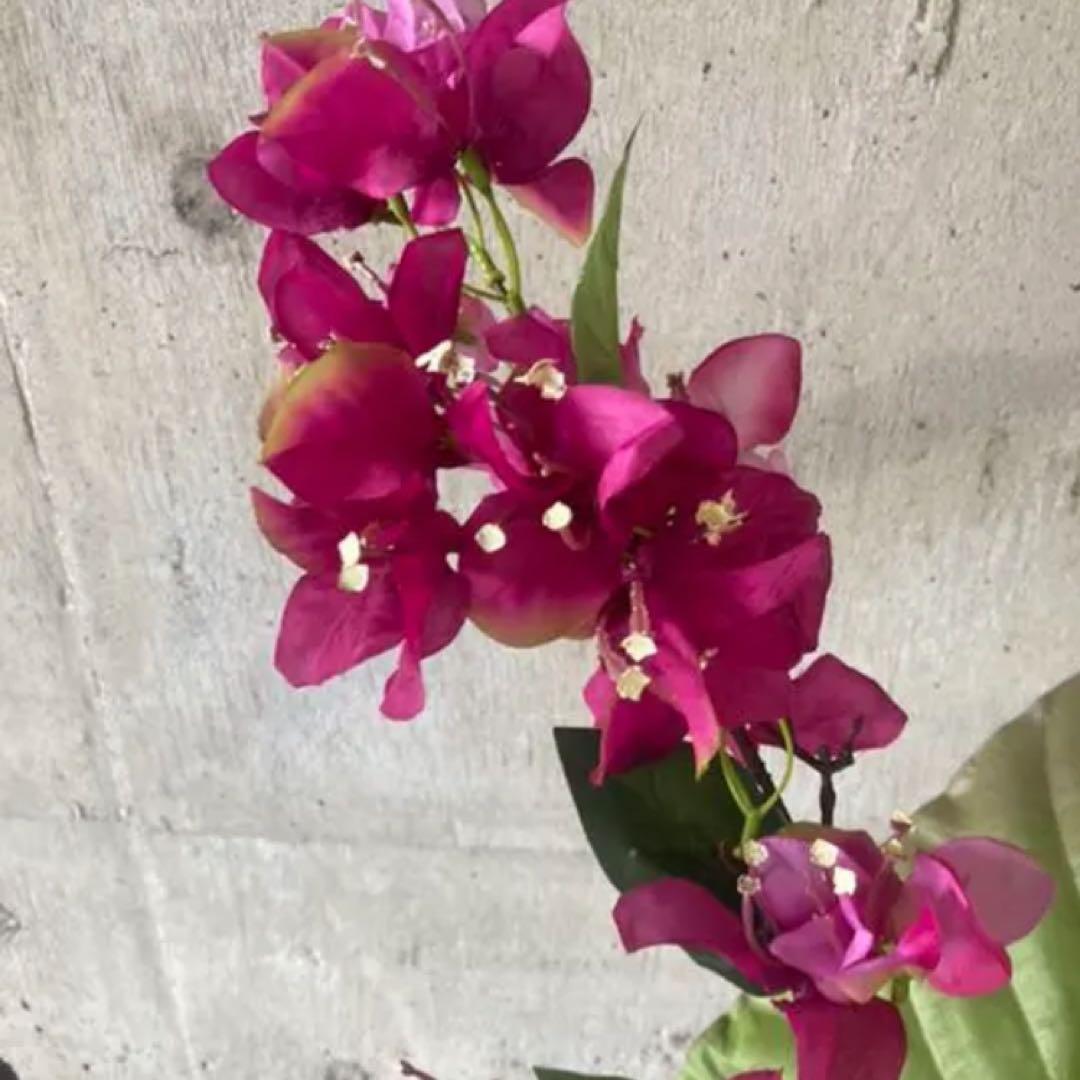 光触媒　人工観葉植物　ウォールグリーン　フェイク　フラワー　ブーゲンビリアv