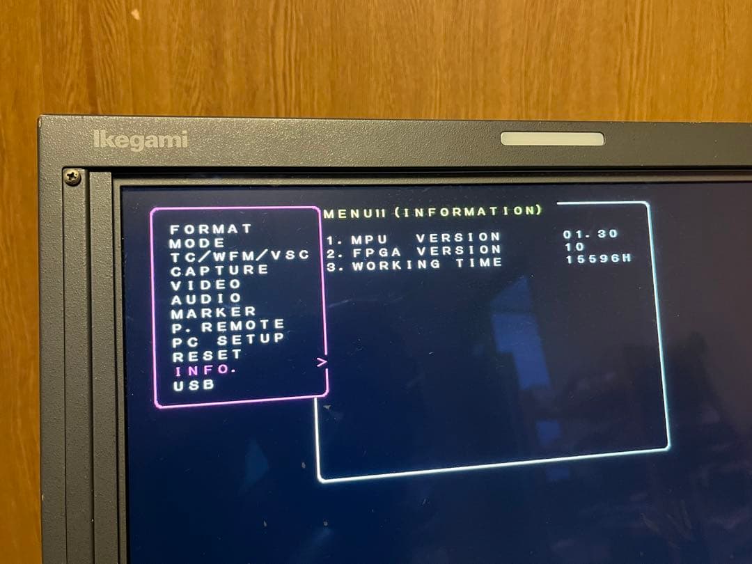 ムーさん専用Ikegami HLM-1704WR 放送業務用モニター