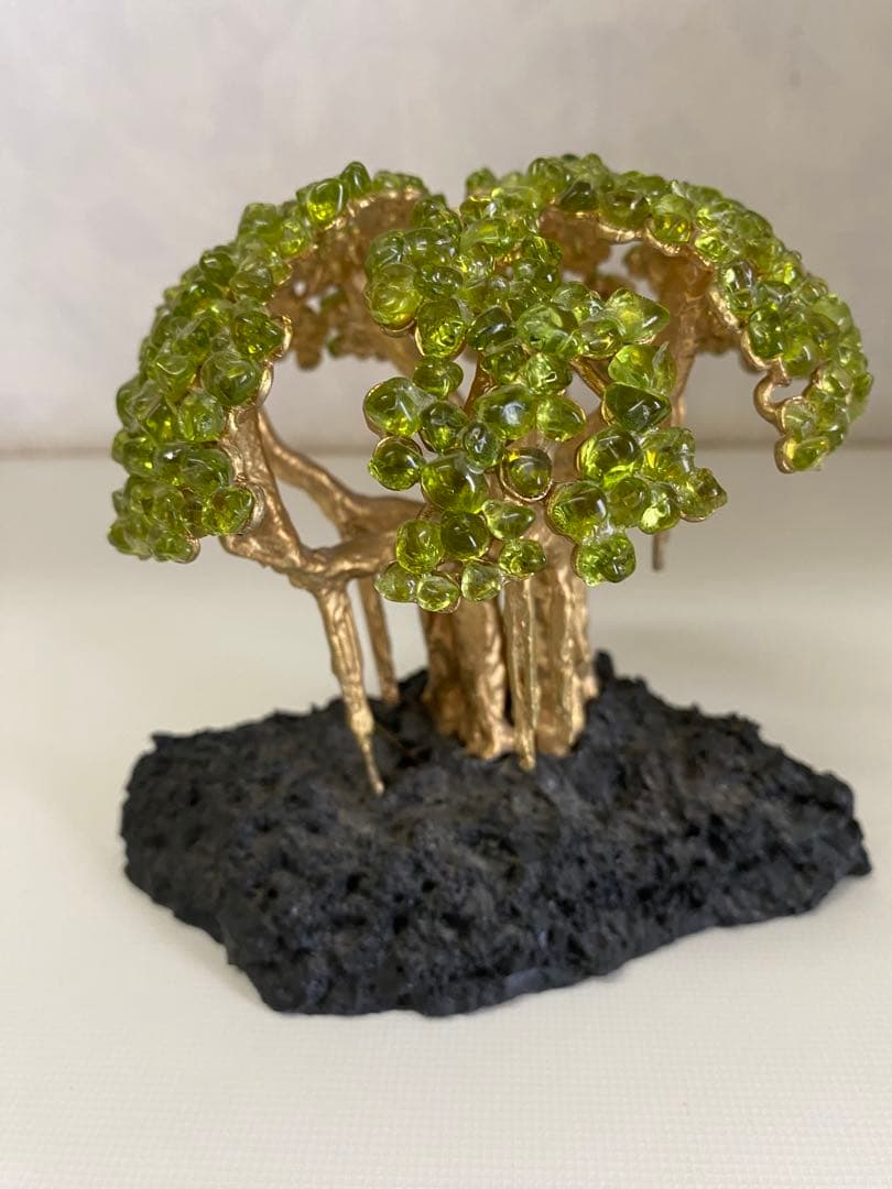 ハワイの宝石ペリドット　ハワイ島の神秘の宝石の木　ペリドットの木　モンキーポッド