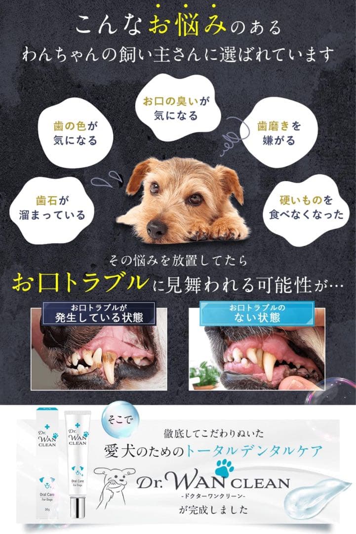 ラルク専用 10個セット