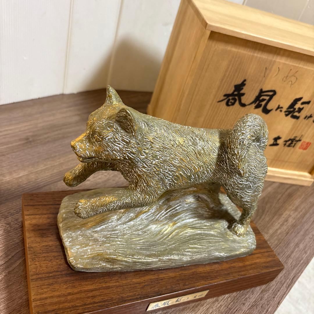 春風に駆ける　有名人 富永直樹(作)