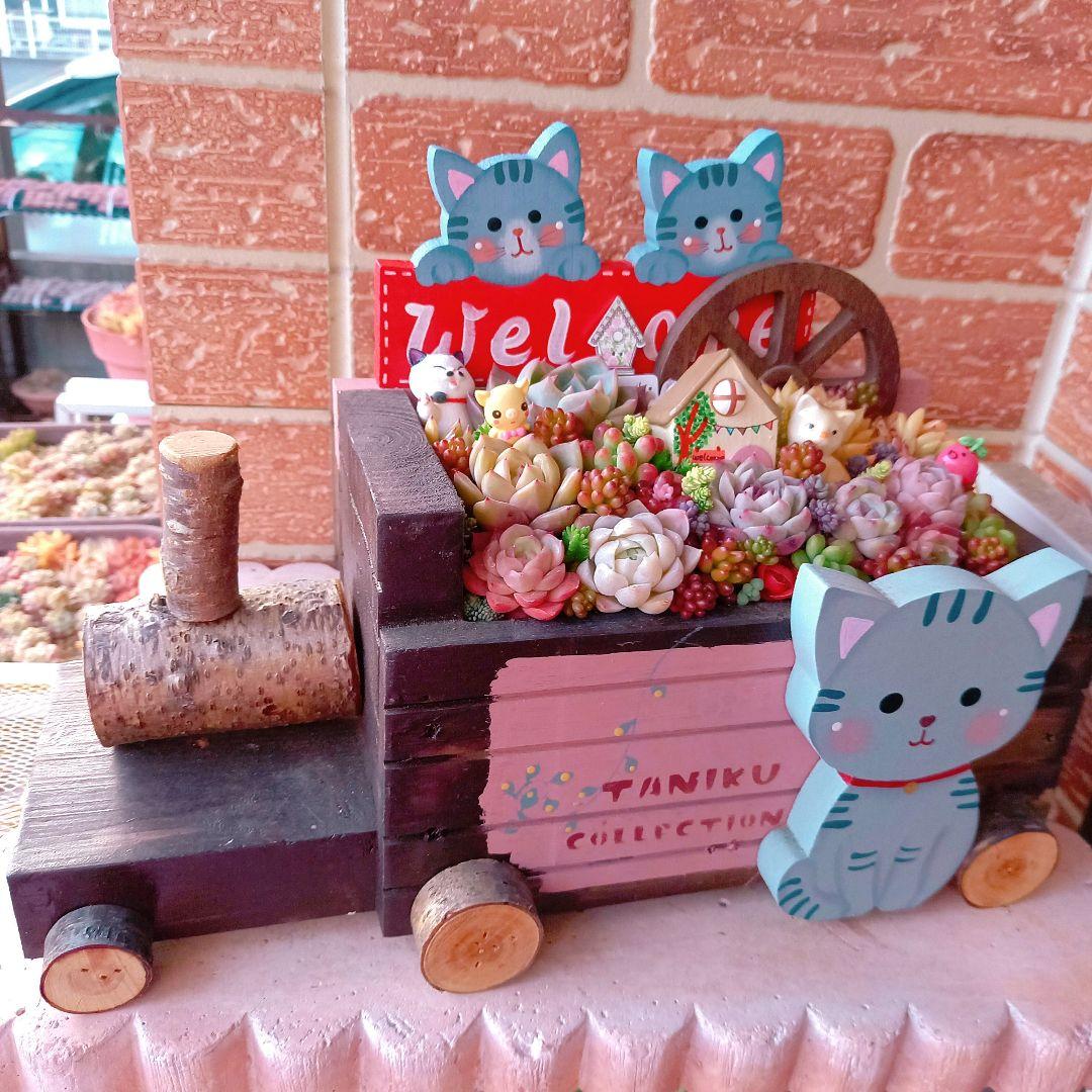 ❤️多肉植物❤️そのまま飾れる寄せ植え❤️サバトラねこちゃん~❤️