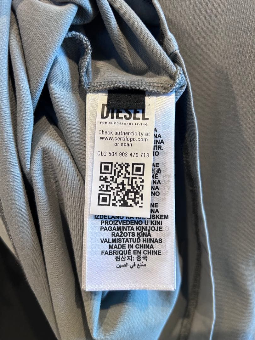 DIESEL T-Boxt-SI-R1 25SS スリーブレストップ