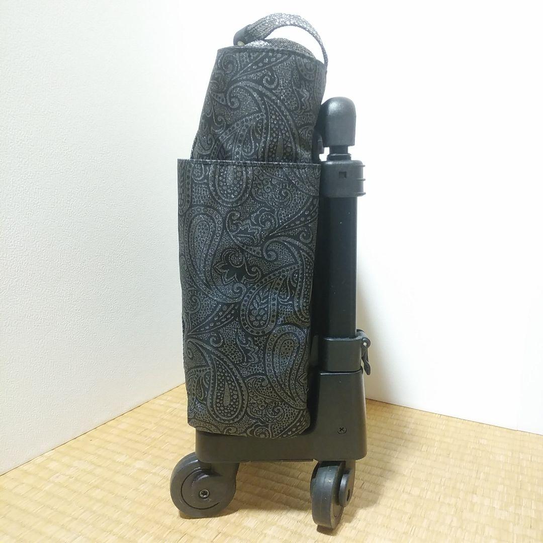 ほぼ新品・SWANY スワニー ペイズリー柄 キャリー