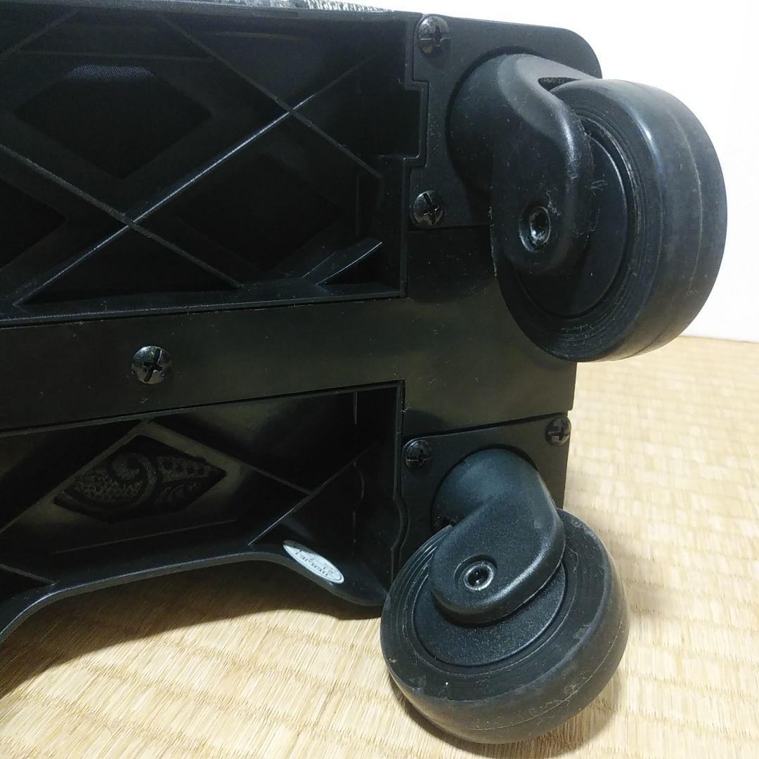 ほぼ新品・SWANY スワニー ペイズリー柄 キャリー