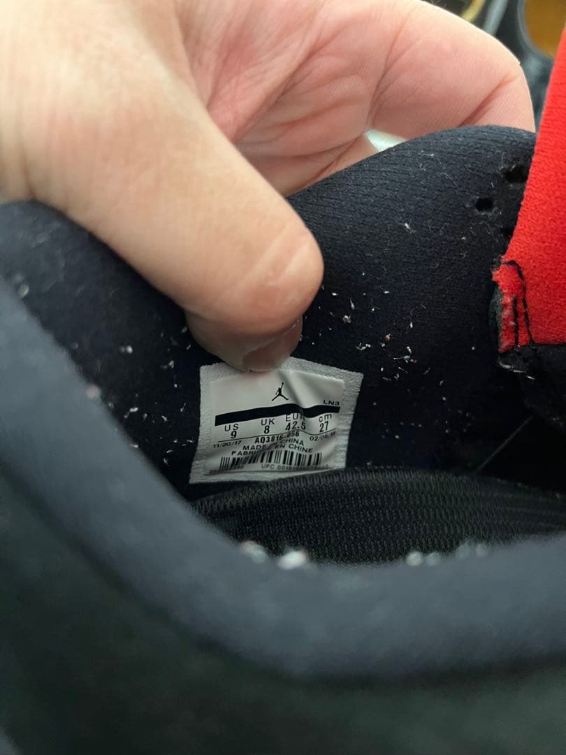 Air Jordan 4 ラプターズ