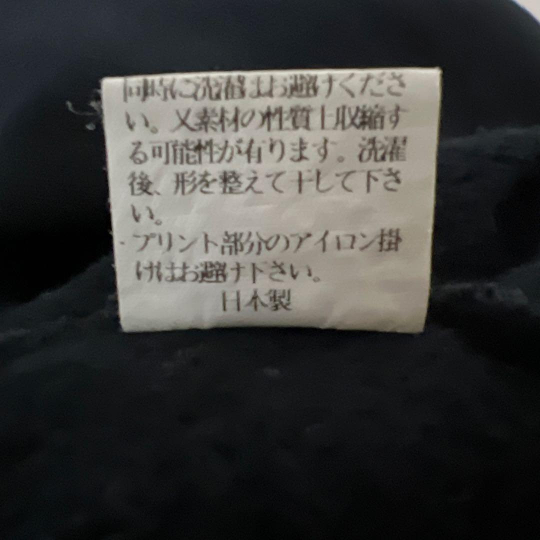 ミルコ・クロコップ　公式　パーカー　team CROCOP 即完品　Ｌ　当時物