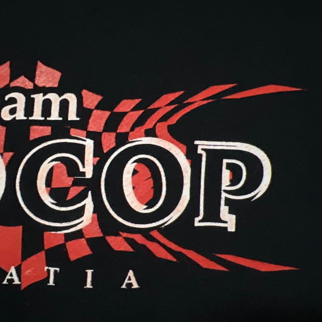 ミルコ・クロコップ　公式　パーカー　team CROCOP 即完品　Ｌ　当時物