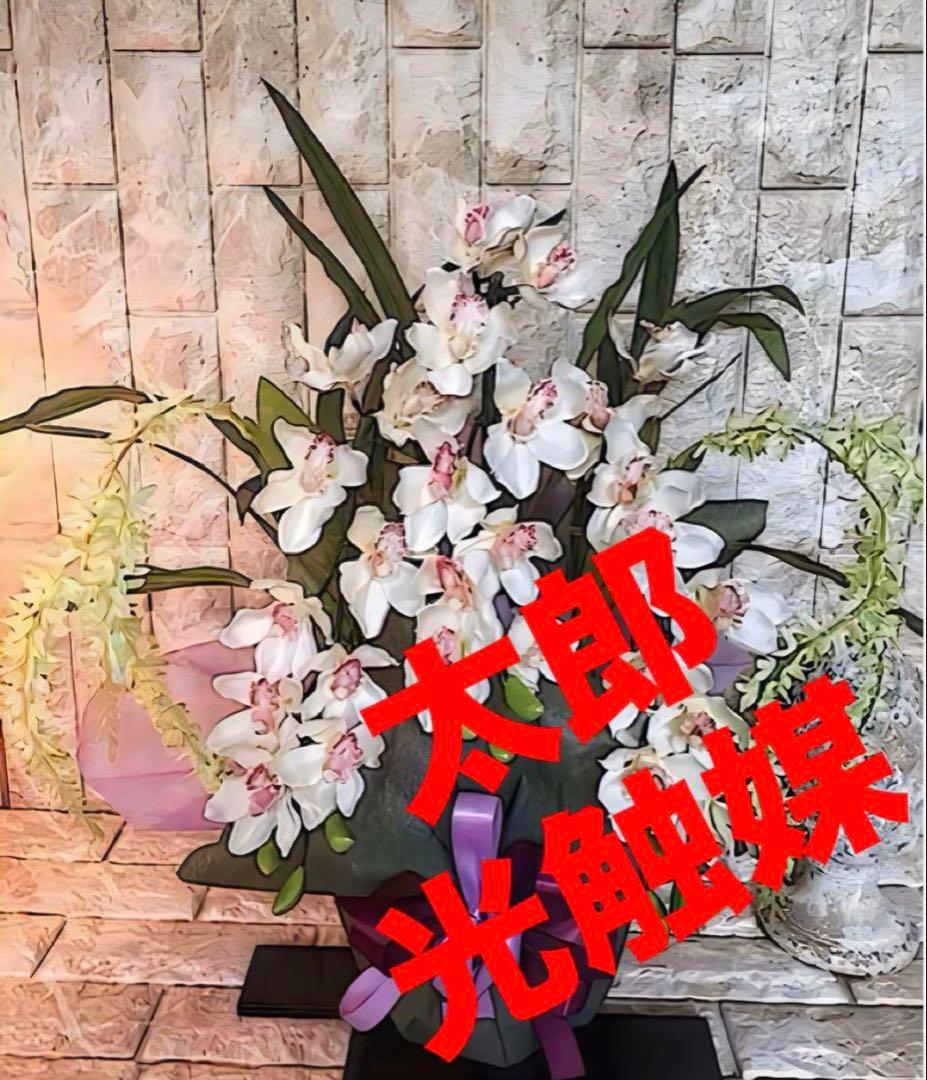光触媒　人工観葉植物　ウォールグリーン　フェイクグリーン　シンピジューム615